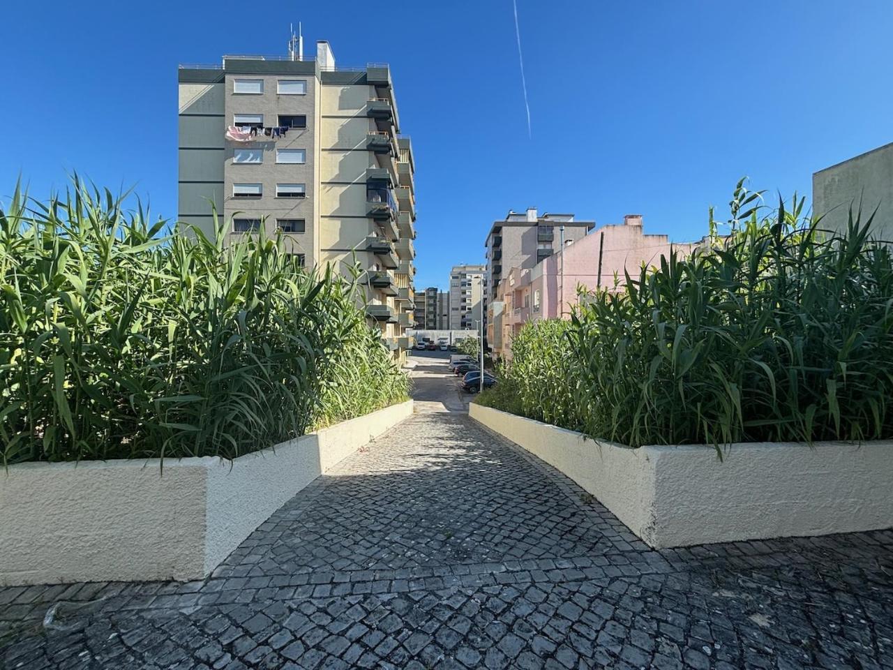 Rosario - Two Bedroom Apart- Buarcos - Figueira Da Foz Kültér fotó